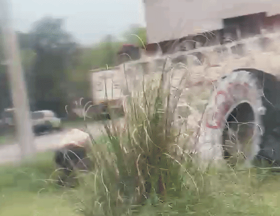 Registran un maltrato animal en Toay: notificaron al agresor 