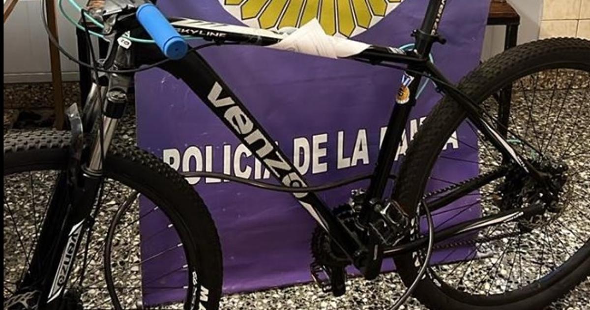 Llevaban una bicicleta al hombro y los detuvieron