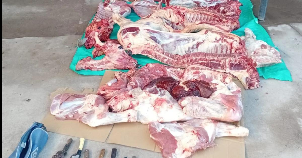 Incautaron casi 700 kilos de carne ilegal en 25 de Mayo