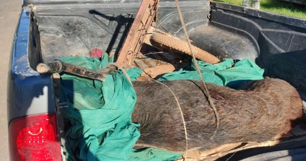 Rucanelo: un cazador escapó por el monte y otro fue demorado con un jabalí faenado