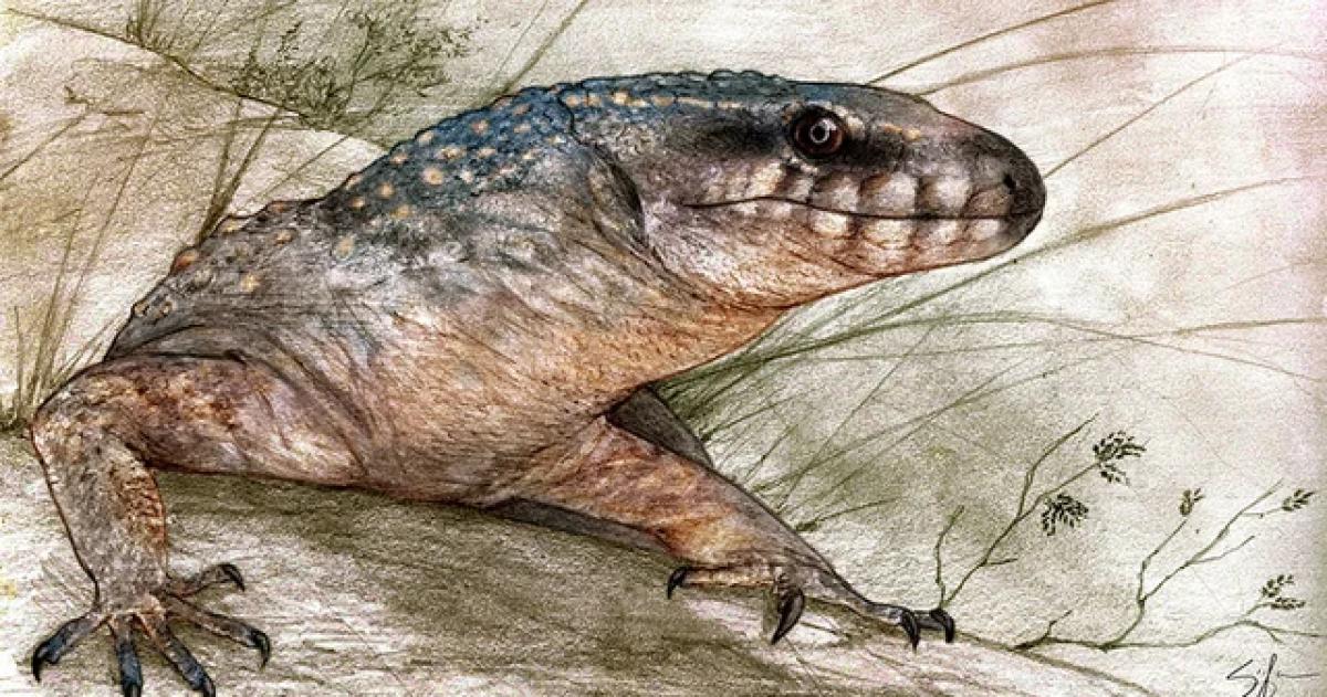 Hallan en la Patagonia un reptil de 70 millones de años y lo reconstruyen digitalmente