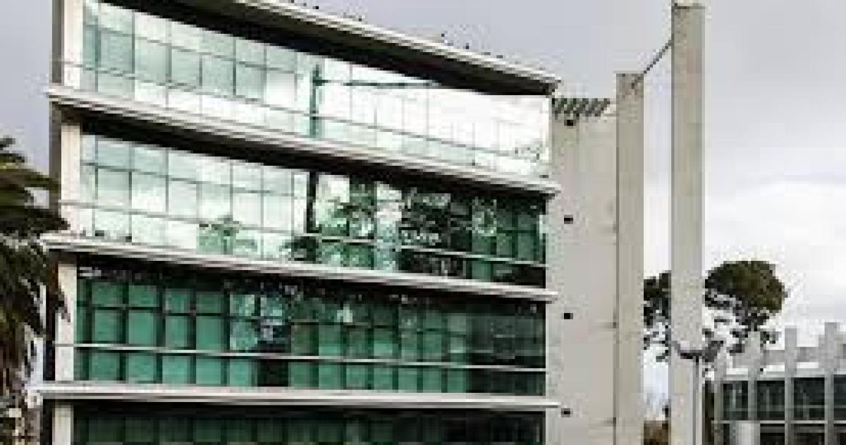 A los 54 años se enteró que fue entregada al nacer y que sus padres tuvieron otros tres hijos después