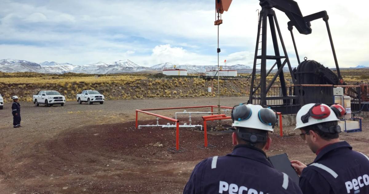 Pérez Companc le compró a Pluspetrol cuatro yacimientos en Mendoza y La Pampa