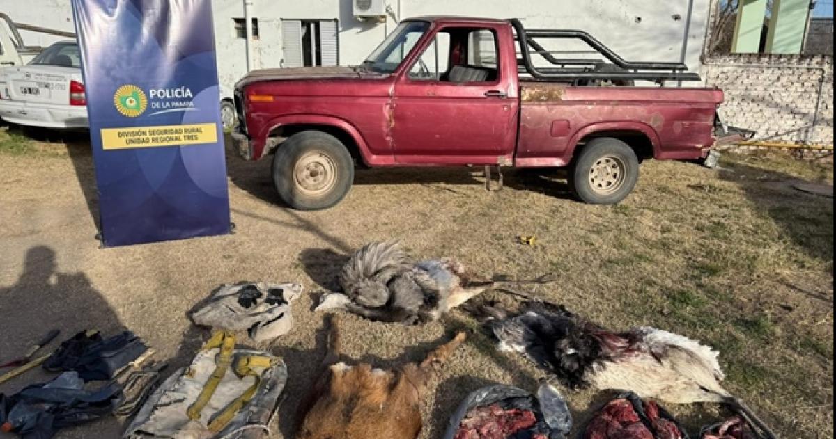 Secuestraron armas, camionetas y ejemplares de fauna silvestre en el sur provincial