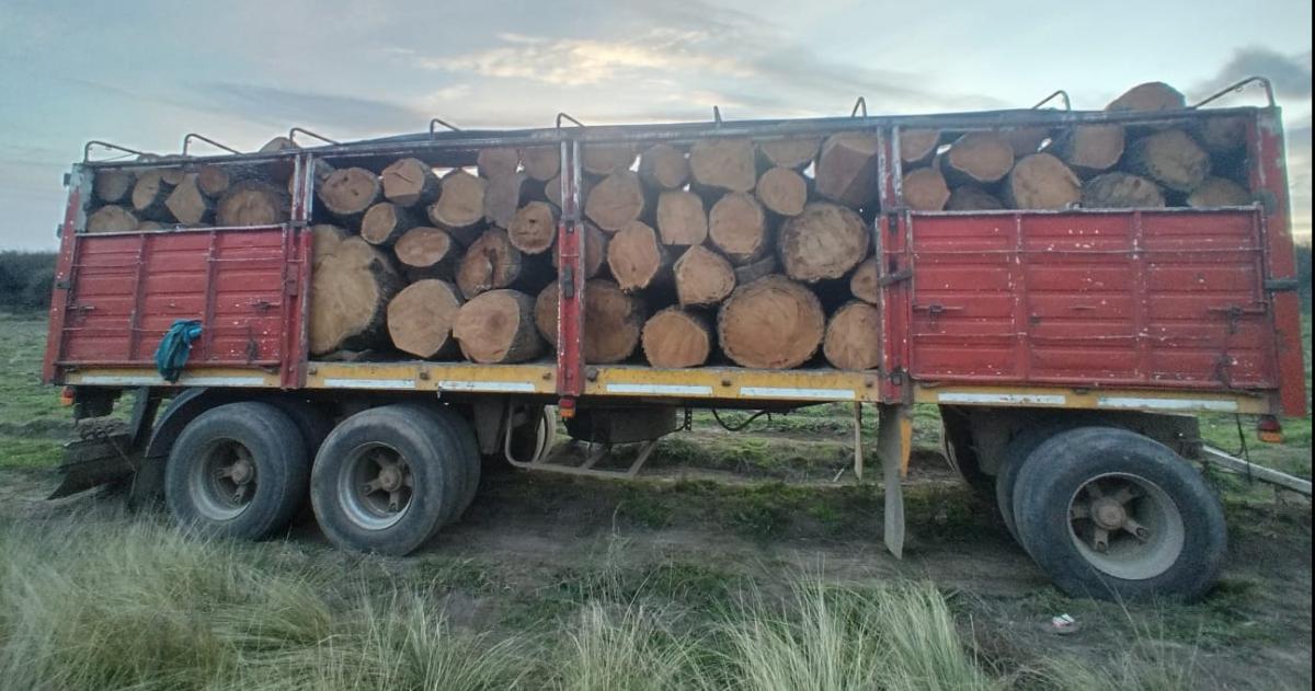 Ingresaron con un camión a un campo de Rancul para talar caldenes