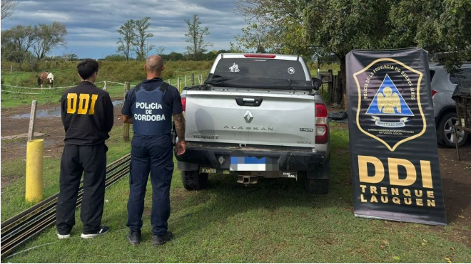 Misterio en el campo: desaparecieron caballos por $100 millones y el principal sospechoso es el administrador