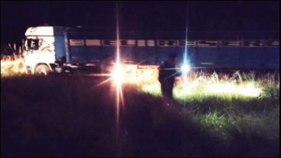 Camionero se habría dormido al volante y despistó cerca de Lonquimay