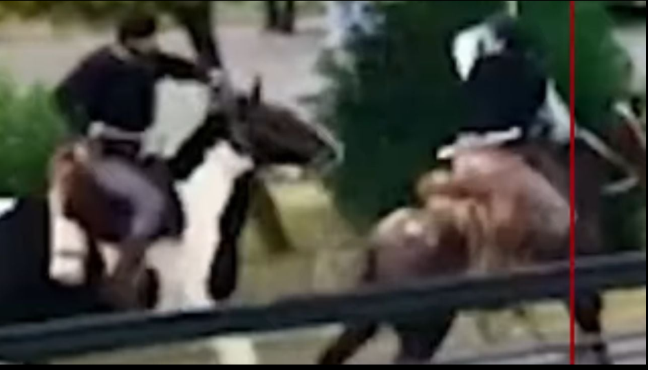 PAPELÓN: Dos jinetes se agarraron a rebencazos en pleno acto del 25 de Mayo-Video
