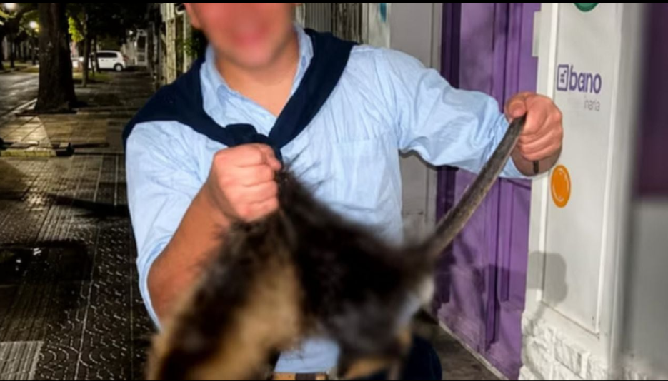 Crueldad animal en Bahía Blanca: imputaron a dos jóvenes que mataron a golpes a una nutria y filmaron la agresión