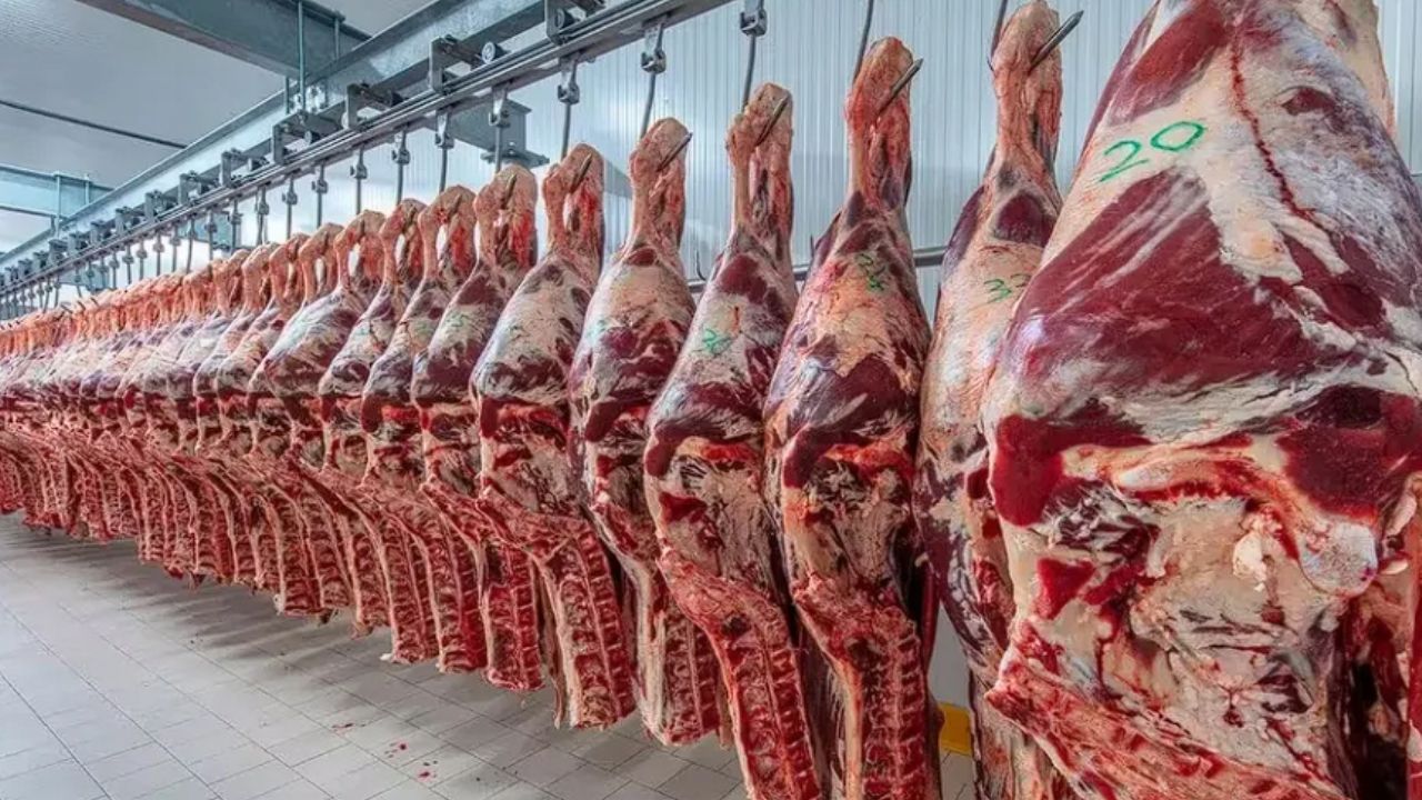 Estados Unidos retiró casi 13.600 kilos de carne argentina etiquetada bajo la marca del Frigorífico Gorina SAIC
