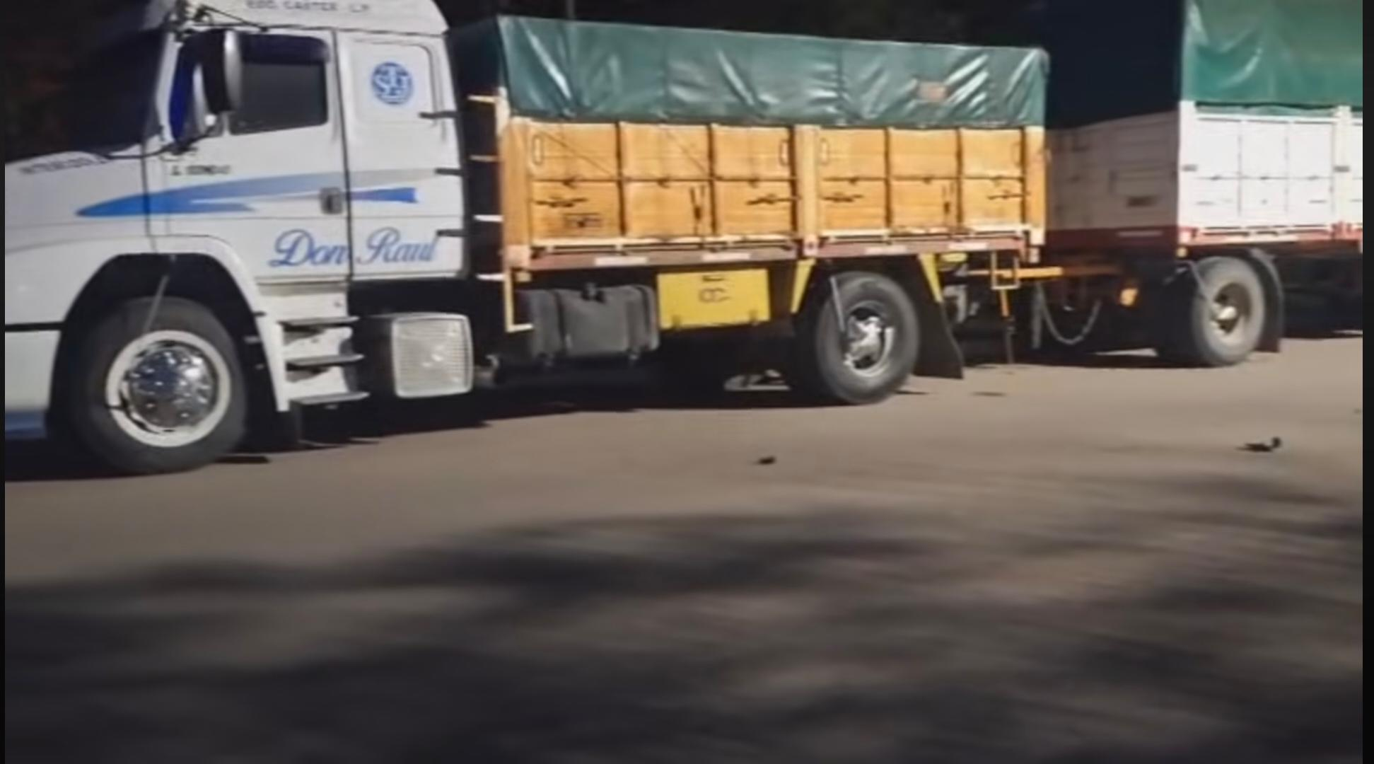 Tragedia en Castex, un policía perdio la vida tras chocar un camión estacionado.