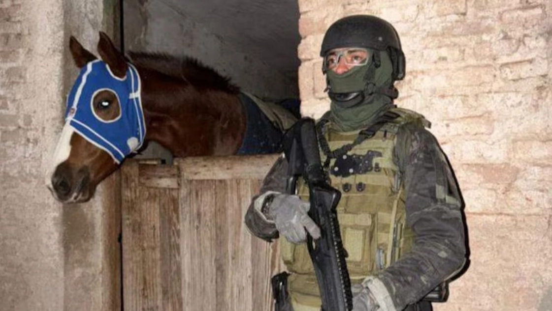 Llevaban droga de Santa Fe a Córdoba y lavaban el dinero con caballos de carrera.