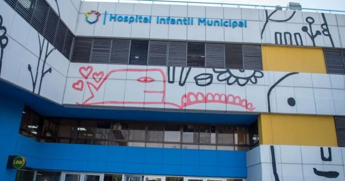 Un nene de 3 años fue mordido en Córdoba por un pitbull y recibió 65 puntos de sutura