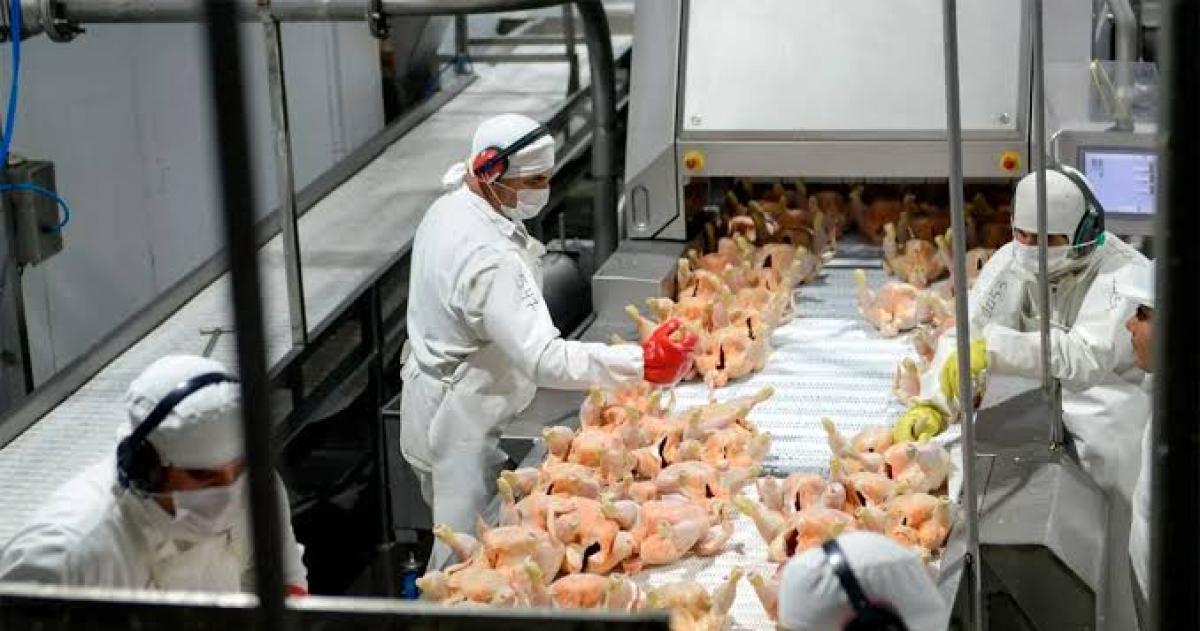 Granja Tres Arroyos suspendió las operaciones y temen un cierre definitivo