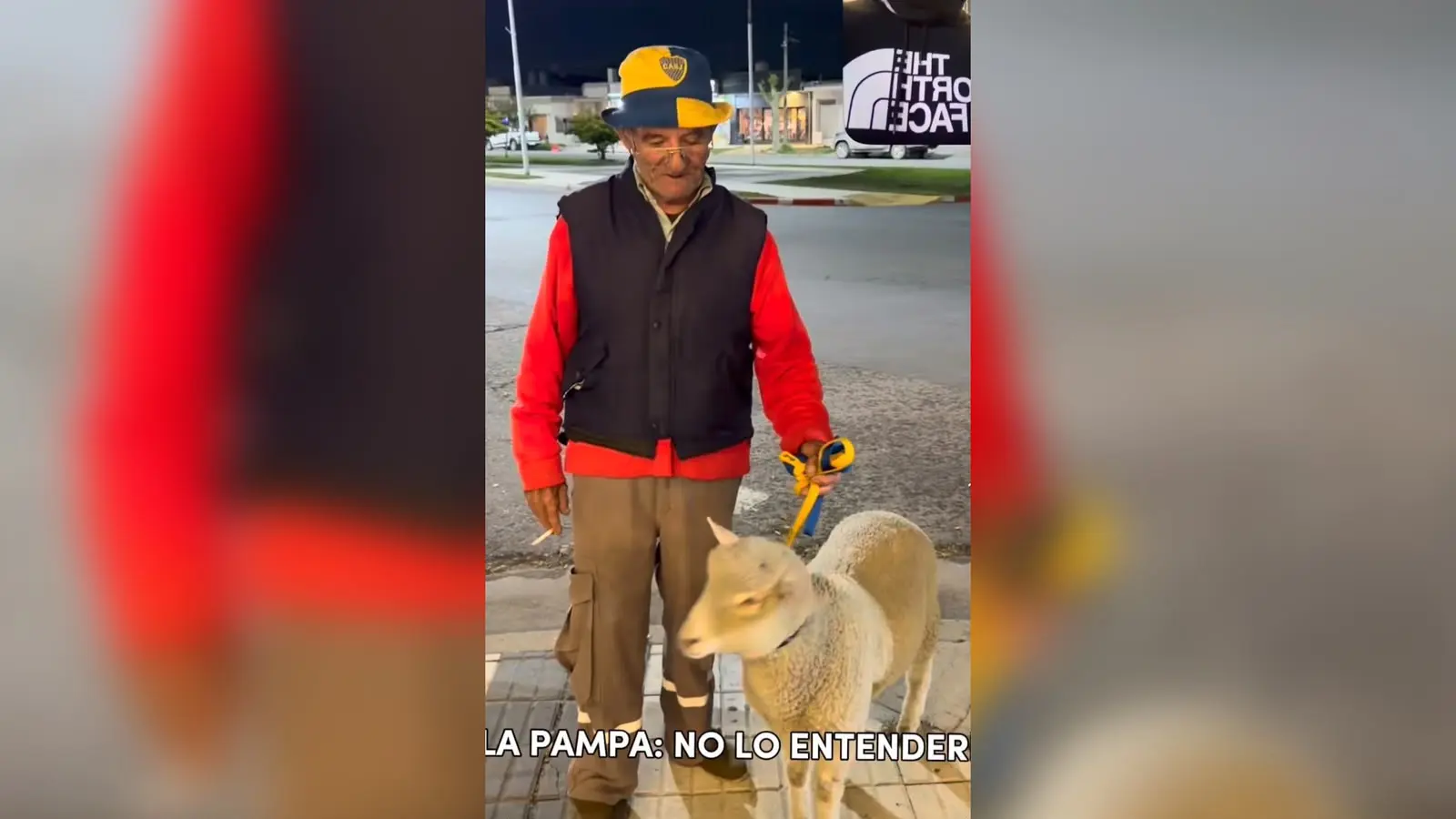 La Pampa no lo entenderías: fanático de Boca y con un cordero de mascota-VIDEO