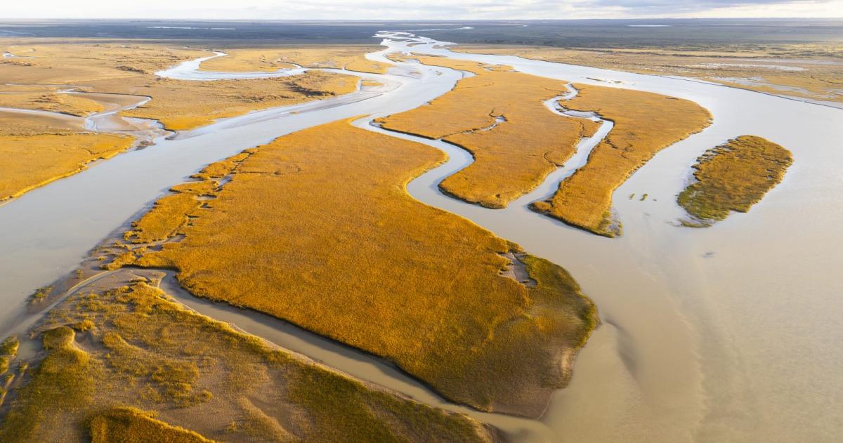 Medio siglo del Tratado del Río Colorado: un hito de la gestión del agua en la Argentina