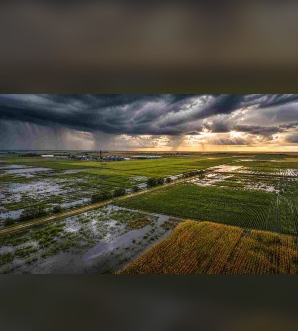 El Niño ya llegó y La Pampa no para de mojarse: ¿qué puede pasar con las lluvias en los próximos meses?