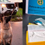 La Policía desarticuló «kioscos» de venta de drogas y detuvo a cuatro sospechosos, entre ellos dos castenses que transportaban 1 kg. de cocaina.