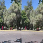 Brutal pelea entre estudiantes en Mendoza: un adolescente terminó en terapia intensiva