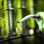 El Gobierno oficializó los nuevos precios de los biocombustibles