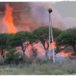 Incendio cerca del Puesto Caminero Victorica