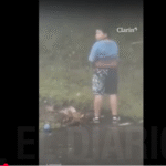 Estremecedor: nene bajó del auto a orinar y segundos después un camión mató a sus padres