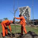 Cuentas de Córdoba: un ingreso clave no acompañó la inflación