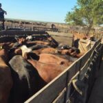 Estafa a firma de Rancul: el feriero que tenía la hacienda afirma que era de su propiedad