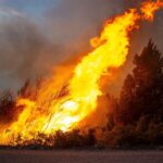 Patagonia en alerta: qué se sabe de los incendios, el pedido de emergencia y las zonas más afectadas por el fuego