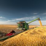 El informe del USDA sacudió a Chicago: se desplomó el maíz y bajó fuerte la soja