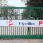 Alarma en el Frigorífico Pico: De faenar 600 animales diarios a solo 50 este lunes