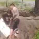 Desesperación: rescatan a una pareja tras el temporal; un auto fue arrastrado en la ruta 68-Video