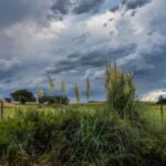 Alerta por tormentas fuertes para gran parte de La Pampa