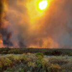 Incendios: “La mayoría de los productores hace bien las cosas”, dijo Ziliotto y la Agrícola lo cruzó