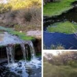 Un renacer de los caminos rurales: Guatraché tiene un Biocorredor Histórico y Cultural