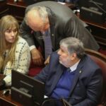 Diferencias peronistas en el Senado impactan en la unidad del bloque