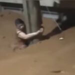 Video: así fue el momento en el que una lluvia extrema provocó 23 muertos y decenas de desaparecidos en Brasil