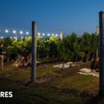 5 propuestas gourmet en General Madariaga, antes o después de la playa