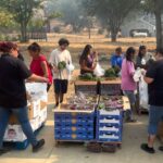 Dónde entregan comida gratis en California durante la semana del 2 al 7 de febrero de 2026