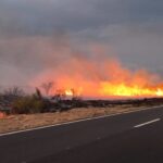 Incendios en La Pampa: en los últimos tres meses se quemaron 197 mil hectáreas