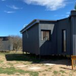 Brama en Parque Luro: el espectáculo natural comenzó, pero sigue la polémica por las cabañas