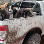 Maisonnave: demoran a tres cazadores cordobeses 