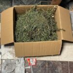 Secuestraron droga, dinero y detuvieron a un hombre en Santa Rosa