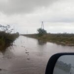 “Fue tremendo”: lluvias intensas de hasta 175 mm en 24 horas retrasan la cosecha y reavivan el fantasma en el oeste bonaerense de otra inundación