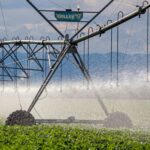 Salió con la reforma laboral: qué cambia con el RIMI, la ambiciosa apuesta del Gobierno para las medianas inversiones