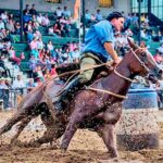 Nuestros Caballos 2026 en La Rural: fechas, horarios y entradas para la expo equina de Palermo