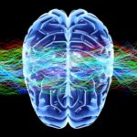 Una neurocientífica canadiense explica qué ocurre en el cerebro cuando el estrés se vuelve crónico