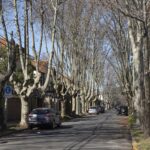 Precio de los departamentos: un informe reveló qué pasó con las propiedades en zona norte