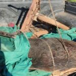 Rucanelo: un cazador escapó por el monte y otro fue demorado con un jabalí faenado