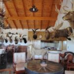 Secuestran más de 1.100 trofeos de caza en un campo de Telén 